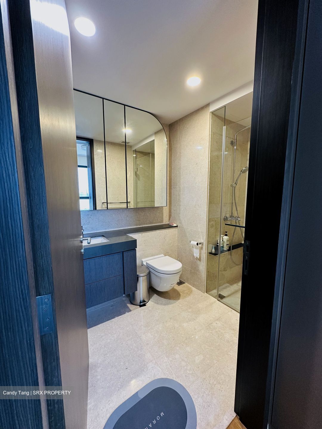 Avenue South Residence (D3), Apartment #528328111